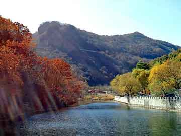 新澳门二四六天天开奖，仙骨风流